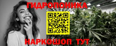 мдпв Пенза