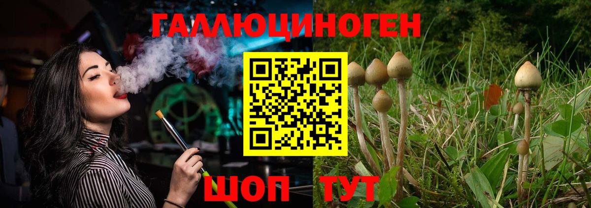 Протвино  Галлюциногенные грибы ЛСД  как найти   Вход с VPN 